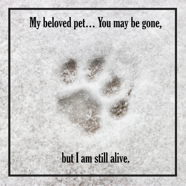 Illustration for article titled 6 Beautiful Quotes To Get You Through The Death Of A Pet